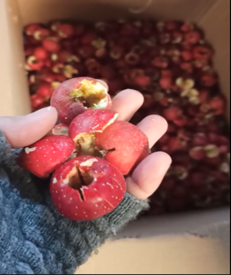 山楂、青梅去核機(jī)